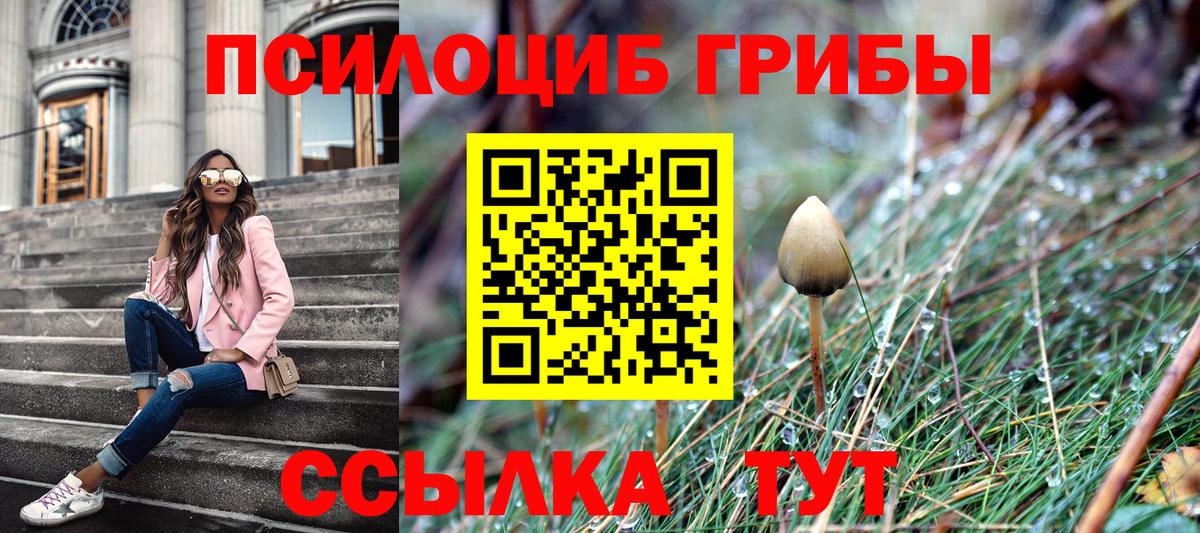 Галлюциногенные грибы Psilocybine cubensis  Вход с VPN  Галлюциногенные грибы GOLDEN TEACHER  Армавир 